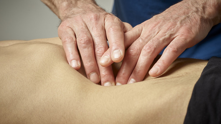 osteopatia-terapia-viscerale-studio-sette-torino